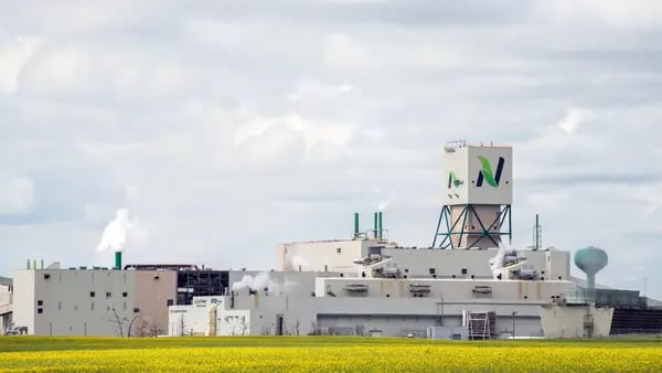 CEO da maior fabricante de fertilizantes do mundo diz que demanda voltou a se estabilizardfd