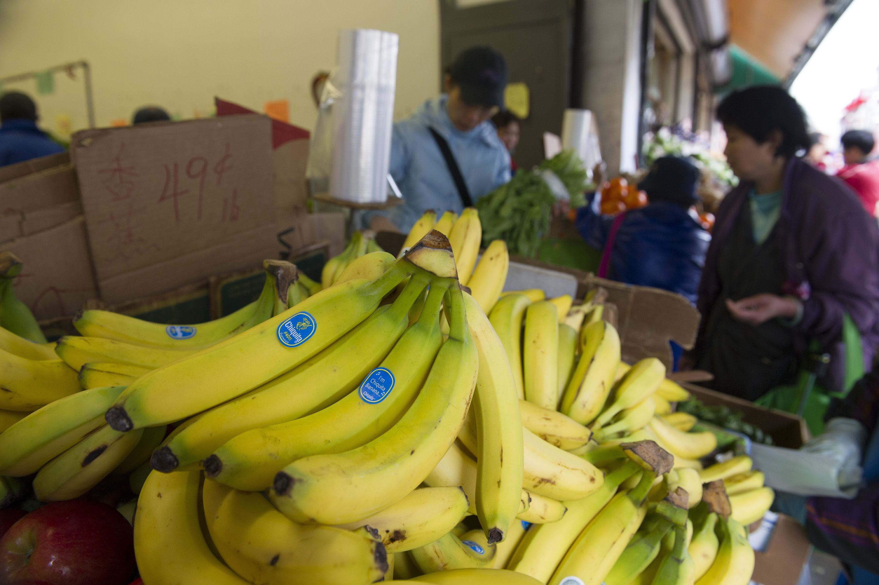 Quiénes son los dueños Chiquita Brands, la bananera hallada culpable por  financiar las AUC