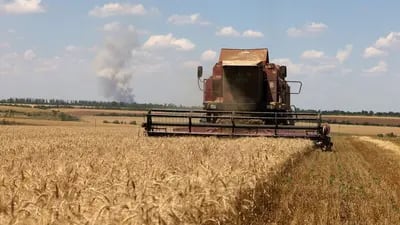 Agricultura en Ucrania