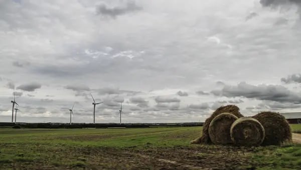 Dinamarca vai cobrar imposto sobre as emissões de carbono de agricultoresdfd