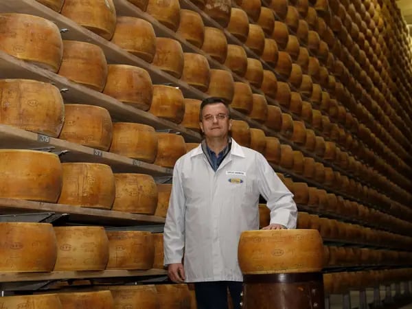 CEO da RAR, Sergio Barbosa, em frente ao estoque de queijos tipo grana, que já está sendo exportado (Foto: RAR/Divulgação)