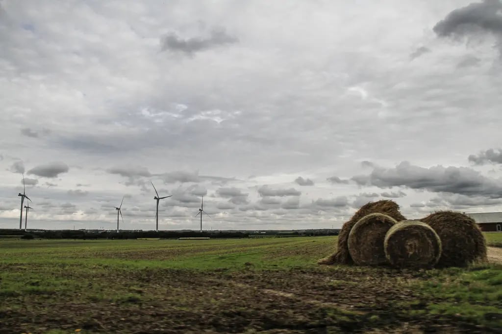 Dinamarca vai cobrar imposto sobre as emissões de carbono de agricultores