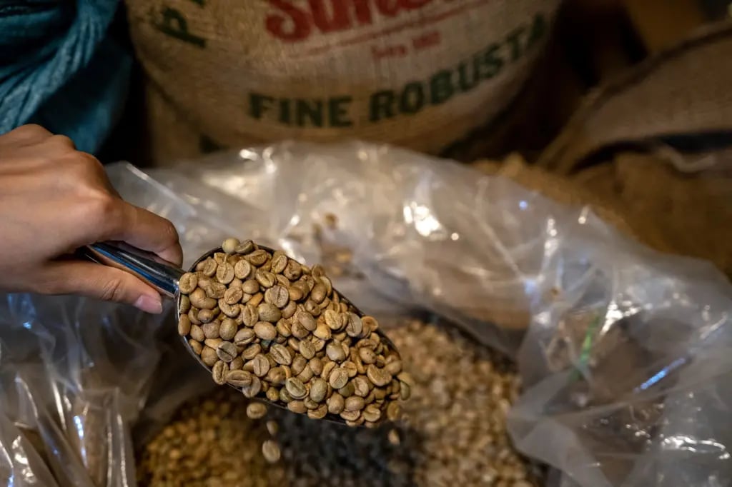Café robusta atinge maior preço em 45 anos no atacado com escassez global