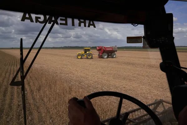 La empresa argentina de biotech espera el auge de la agricultura con Milei