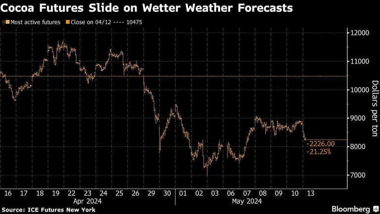 Cocoa Futures Slide on Wetter Weather Forecastsdfd