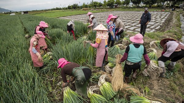 China impõe mais controles à exportação de fertilizantes para proteger agricultores