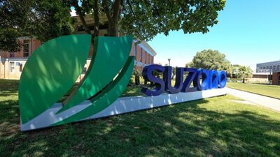 Como a oferta da Suzano pela IP alterou a estratégia de operadores do mercado