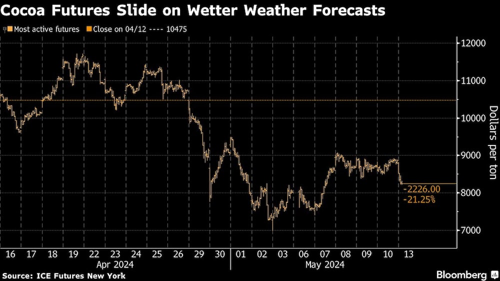 Cocoa Futures Slide on Wetter Weather Forecasts