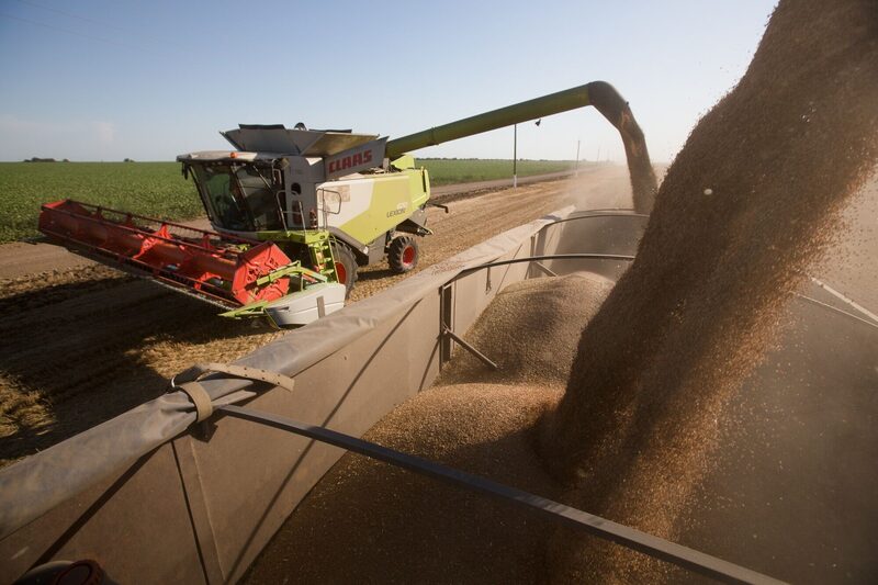 Colheita de trigo na Rússia