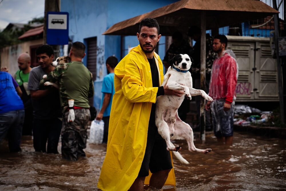 Un residente lleva un perro a través de las aguas inundadas en Canoas, estado de Rio Grande do Sul, Brasil, el domingo.