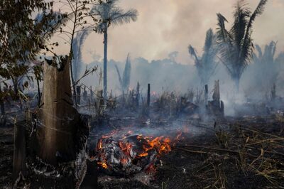 Floresta em chamas na Amazônia: interesse do investidor estrangeiro na recuperação (Foto: Micahel Dantas/AFP/Getty Images)