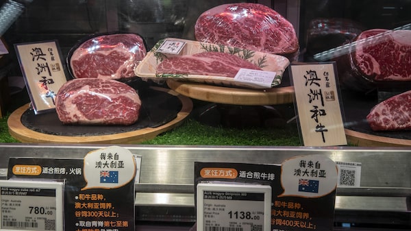Aposta de Pequim em carne bovina derruba preços e deixa produtores no prejuízo