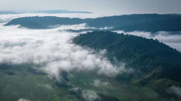 Brasil obtiene US$148 millones en fondos para proteger la selva amazónica