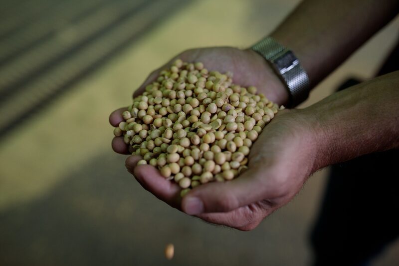 Sugar Rally Gets Boost From Soybean Woes At Port Of Santos