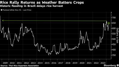 Rice Rally Returns as Weather Batters Crops | Historic flooding in Brazil delays rice harvest