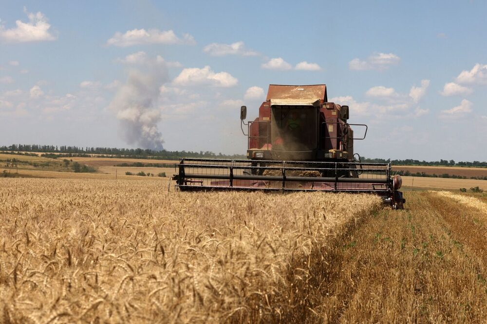 Agricultura en Ucrania