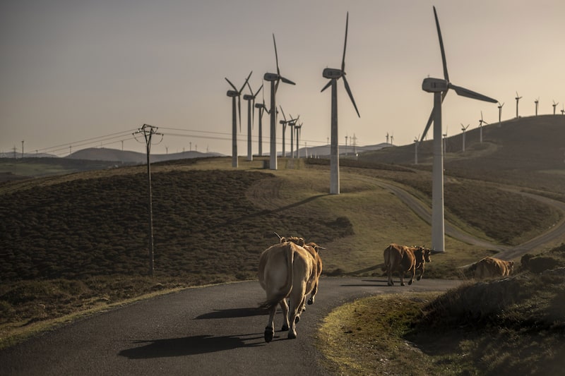 El ganado es un importante impulsor de las emisiones de gases efecto invernadero, con los países de altos ingresos entre los mayores consumidores.